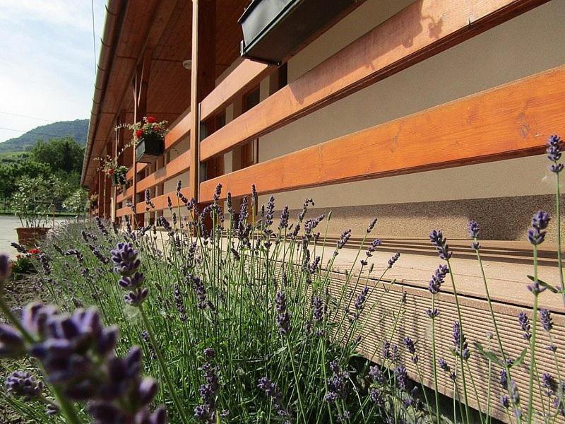 Hotel Halaszkert Badacsony Badacsonytomaj Eksteriør billede